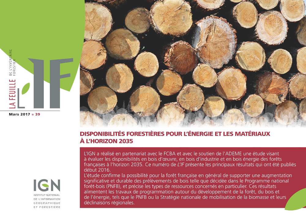 Page de couverture de l'étude sur la disponibilité forestière des énergies