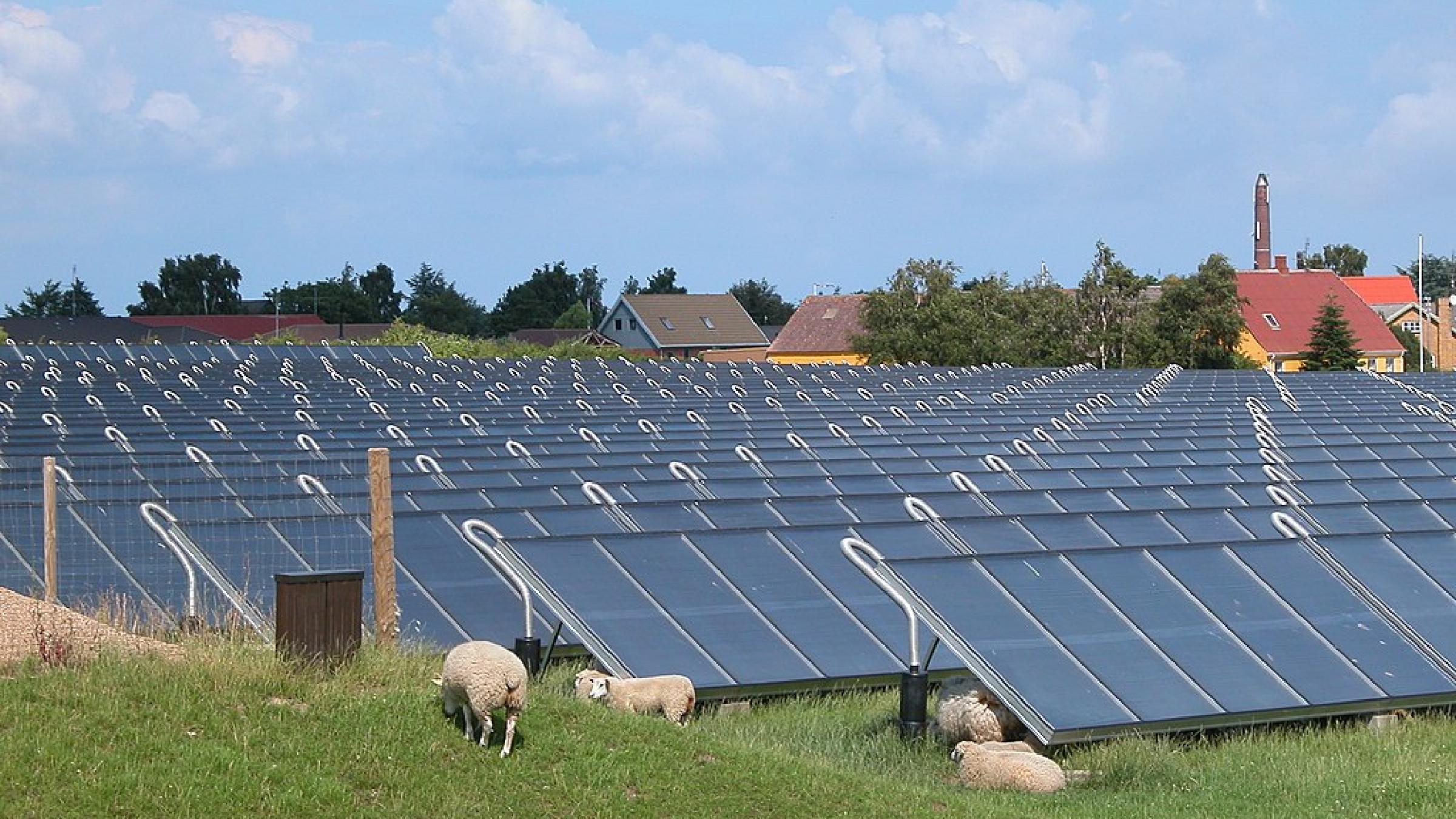 Centrale solaire de Marstal au Danemark - Erik Christensen - Creative Commons Attribution