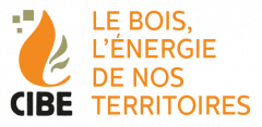 logo de CIBE